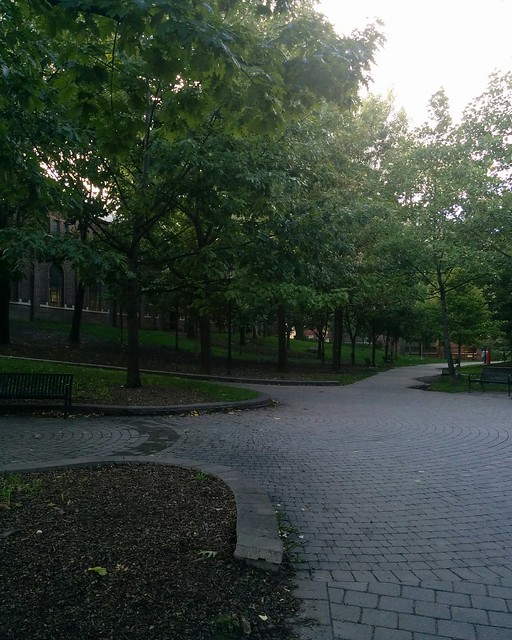 Cobblestones in shade #toronto #universityoftoronto #philosopherswalk #path #shadow #cobblestone #latergram