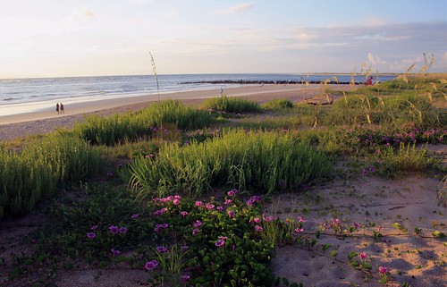 fartisticsunrisephotography sunrise florida summer northernflorida 7618 unitedstates usa saintaugustineflorida villanobeach 2018 beach sea sand water atlanticocean waves ocean jetty sky cloudscape fun july2018 landscape dunes grass flower beachdunes backyard morningbeachwalk fl