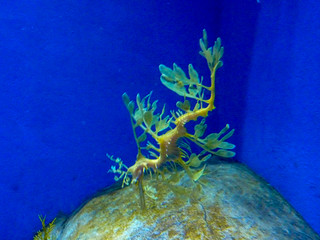 Photo 10 of 10 in the Aquarium gallery