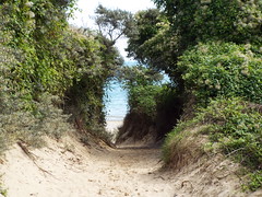 Way through to the beach