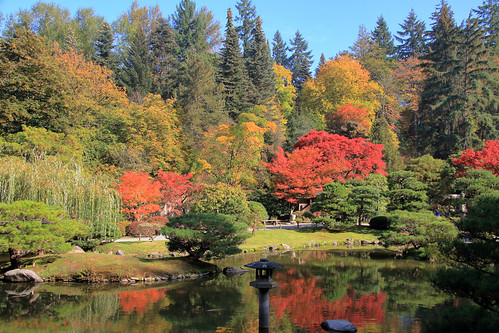 seattlejapanesegarden seattle japanese garden color fall autumn yellow orange red