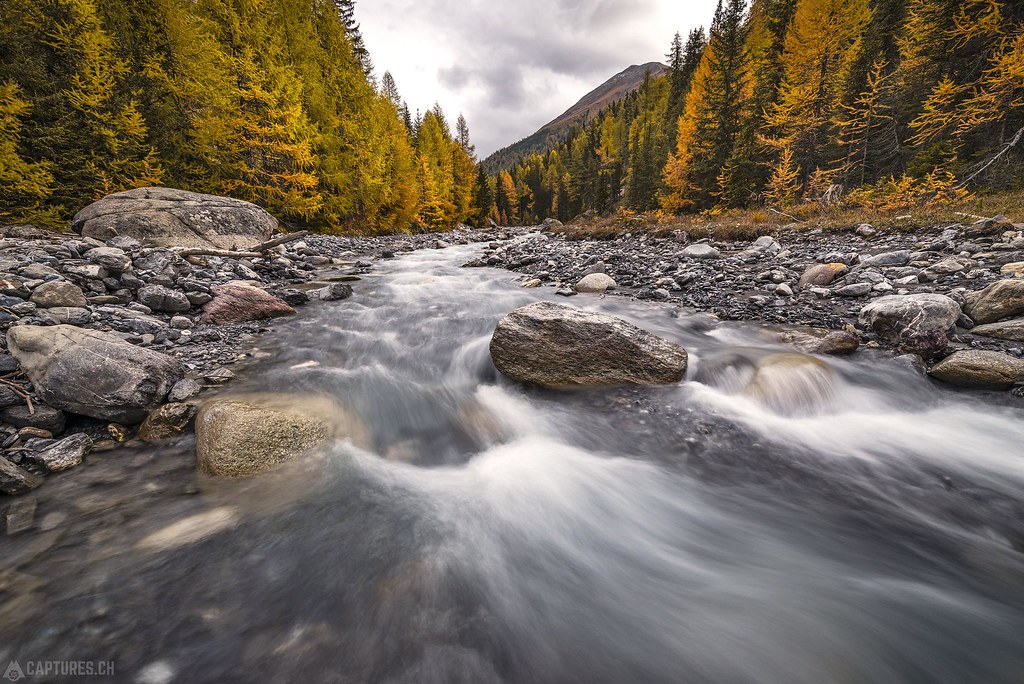 River through the autumn - Val Trupchun