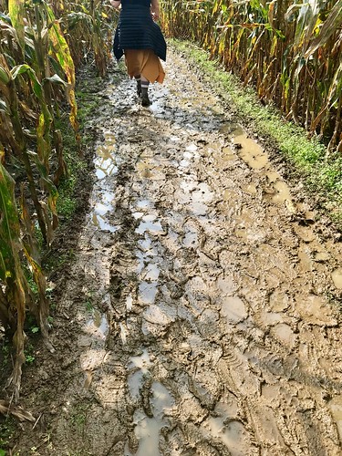 mud corn maze cornmaze marlrna labyrnith ohio footprint shoes walk