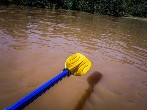 boydmillpond kayaking laurenscounty paddling reedyriver southcarolina wareshoals unitedstates us