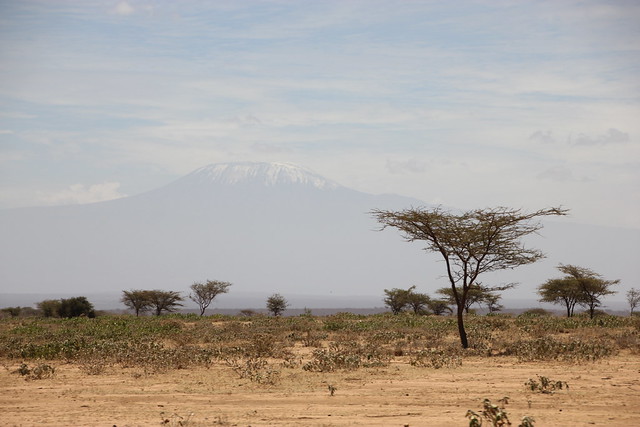 Dia 2: Comienza la aventura: primer contacto con Amboseli (10/02/2018) - Hakuna Matata: Memorias de Africa - En construccion! (9)