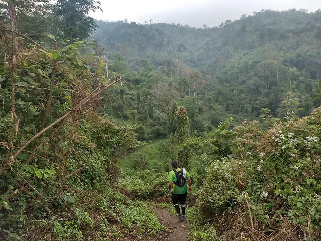 ตะนาวศรีเทรล 2017 TNT60 (Tanaosri Trail 2017)
