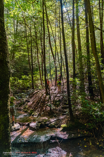 hdr hiking jamestown landscape meetup nashvillehikingmeetup nature people poguecreekcanyonstatenaturalarea sharpplace sonya6500 sonyimages summer tennessee usa unitedstates uppercanyontrail outdoors geo:lon=84821965 exif:isospeed=1000 exif:aperture=ƒ80 exif:lens=epz18105mmf4goss exif:make=sony geo:country=unitedstates exif:focallength=18mm geo:state=tennessee camera:model=ilce6500 geo:lat=36529526666667 geo:location=sharpplace camera:make=sony geo:city=jamestown exif:model=ilce6500
