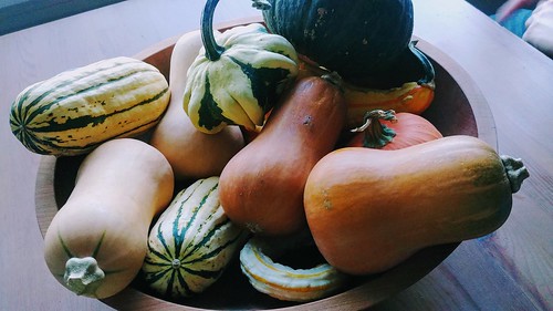 Squashes for soups & roasting!