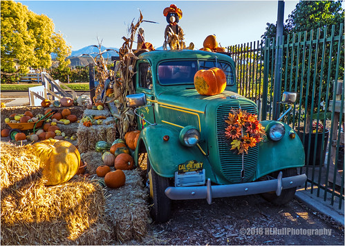 pumpkins pumpkin farmtruck truck straw bales strawbales