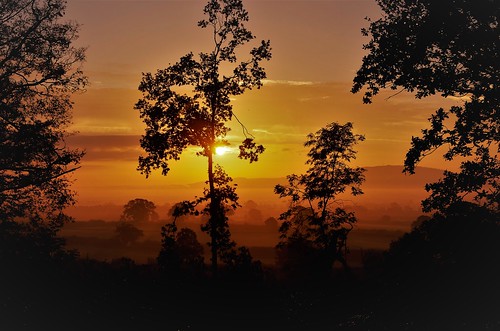 sunrise mist light roof farm sun shine trees silhouette shropshire upton magna haughmond hill