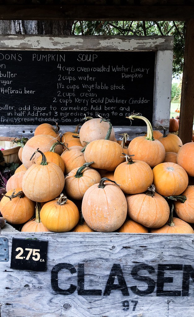 Winter Luxury Pumpkins at Gordon Skagit Farms