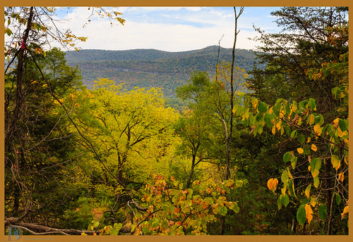 trees westvirginia fallfoliage mountains autumn nature cabins unitedstates us