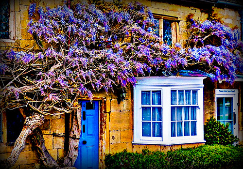 broadway cotswolds worcestershire england uk mickyflick supervillage village bluefrontdoor frontdoor stonecottage wisteria leadedwindows historical