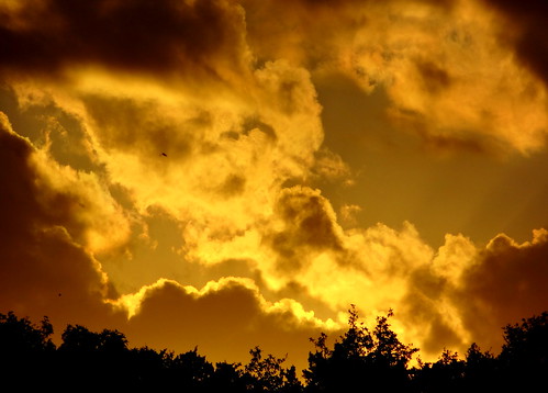 sony sky skyline sunset sundown cloud compact centraltexas hillcountry treeline weather