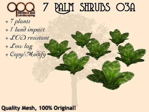 OPQ Fern and Palm shrub groups