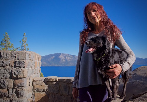 dog companions hiking scenic overlook view lake