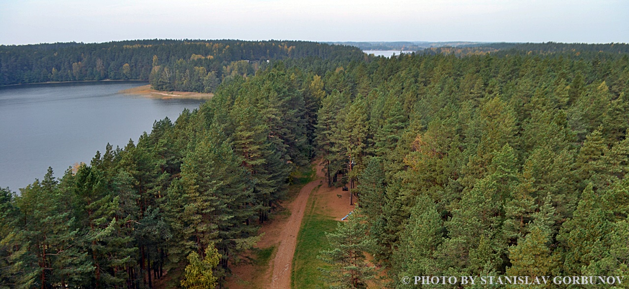 Лабанорская пуща – самый крутой лес Литвы labanoras08