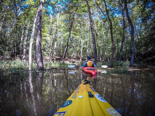 boydmillpond kayaking laurenscounty paddling reedyriver southcarolina graycourt unitedstates us