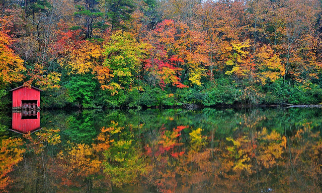 10 Places Worth Visiting for the Fall Foliage in America (NOT in New England)