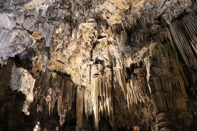 Excursión a las Cuevas de Nerja