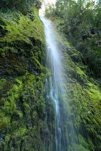 hanmer springs waterfall water green moss newzealand outdoor pentax pentaxk1 sigma20exdg18