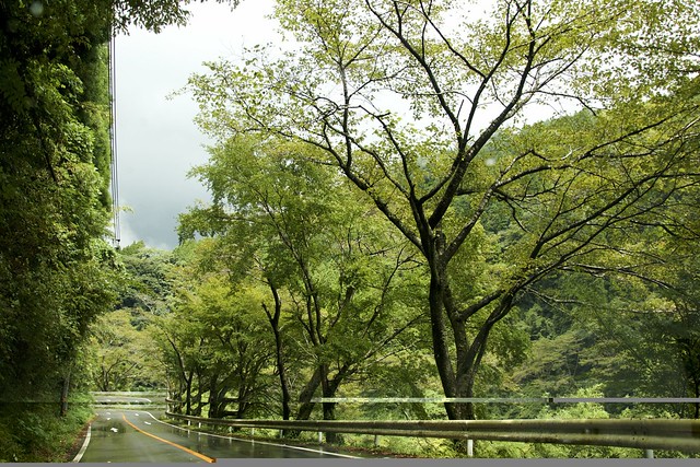 Driving in Japan