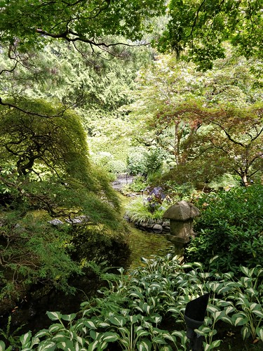 japanesegarden butchartgardens brentwoodbay maple green hosta stream brook plants japanese