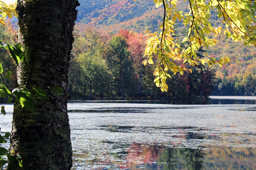 vermont autumn fall foliage color nature outdoors pond lake landscape