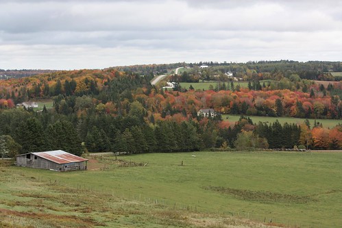 brookvale pei canada fall foliage leaves rural country barn hills countryside