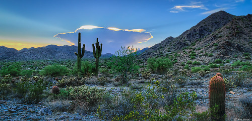 arizona buckeye clouds cloudscape cloudy desert kenmickelphotography landscape landscapedesert outdoors skylineregionalpark sunsets nature photography sunset unitedstates us