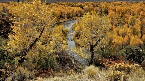 aspen colorado river
