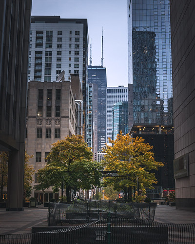 Fall in the City