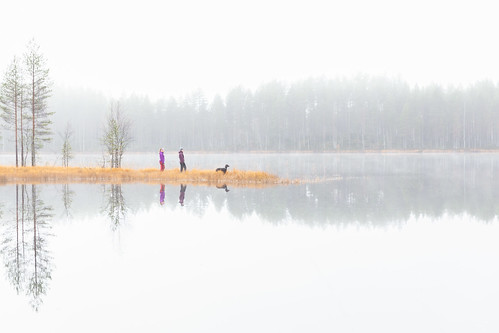finland lakeland people aamu autumn dog järvi koira lake luonto maisema morning nature outdoor scenery sumu syksy