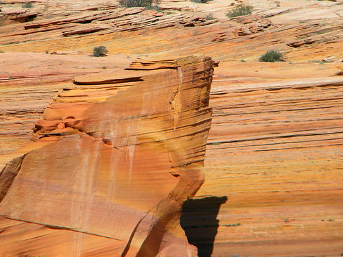 'The Wave', striped sandstone surf near the Utah/Arizona Borderlands, USA