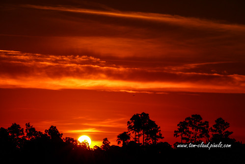 sun sunrise sky weather landscape fiery clouds cloudy trees outdoors nature orange pineglades naturalarea pinegladesnaturalarea jupiter florida
