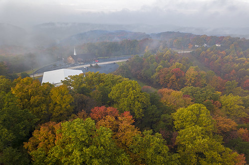 fog foggy morning autumn fall drone mavicpro trees colors forest church