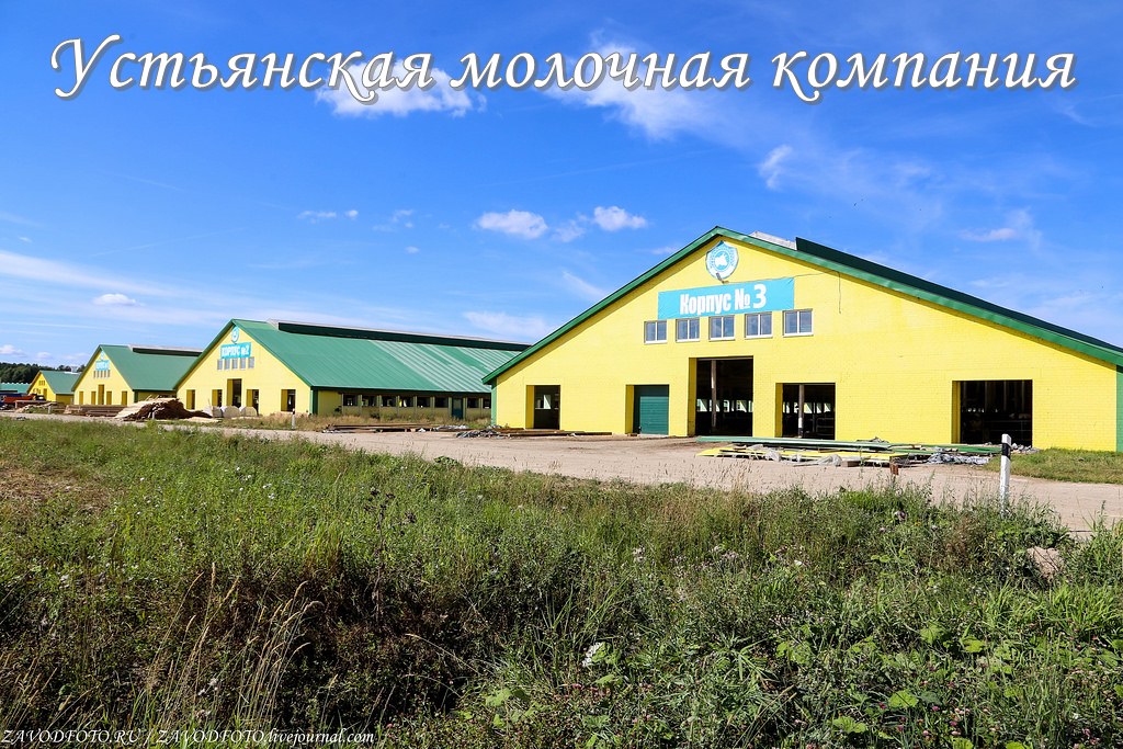 Устьянская молочная компания