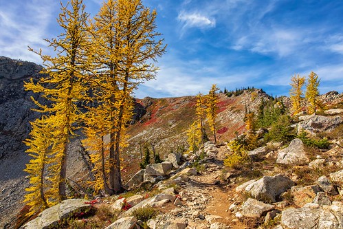larch trail maplepass rocks northcascades autumn