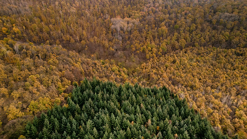 federicoc federico campeggi photography fotografia autumn fall colors aerial landscape