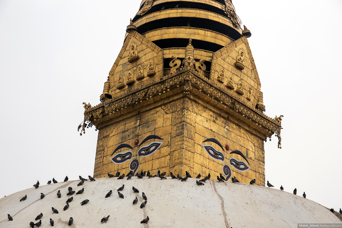 Кольцо Аннапурны или Гималаи глазами дилетанта: перед заключением очень, поездки, метров, когда, спуск, можно, Катманду, Непал, часть, регион, такие, налегке, больше, словно, также, место, Покхаре, бездомных, Муктинатх, теплые