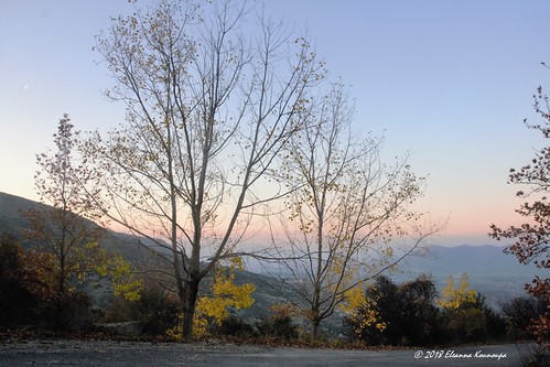 δέντρα trees ελλάδα πελοπόννησοσ αρκαδία ανωδολιανά φύση φθινόπωρο βουνό greece peloponnese arkadia anodoliana nature autumn mountain ηλιοβασίλεμα sunset landscapes τοπία