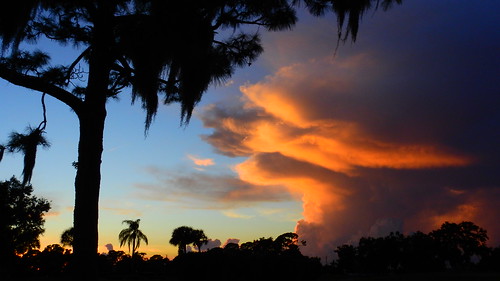 sunset sundown dusk sun evening endofday sky clouds color red gold orange pink yellow blue tree palm outdoor silhouette weather tropical exotic wallpaper landscape nikon coolpix p900 jimmullhaupt manateecounty bradenton florida cloudsstormssunsetssunrises storm thunder wind rain photo flickr geographic picture pictures camera snapshot photography nikoncoolpixp900 nikonp900 coolpixp900