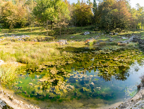 slovenia slovenija belakrajina whitecarniola nikon d5300 sigma sinjivrh pond reflections