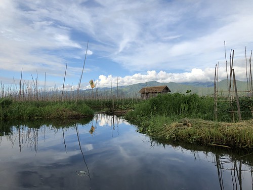 La magia del Lago Inle - Myanmar, Camboya y Laos: la ruta de los mil templos (52)