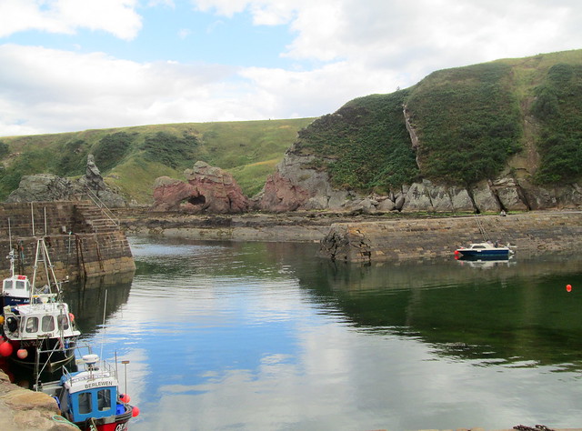 Cove harbour