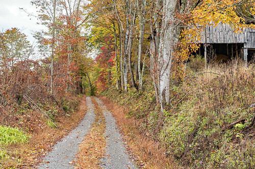autumn autumncolors fall nikond7200 backroadphotography colorful countryroads rural ruralscenes leecountyvirginia rosehillva seasonal