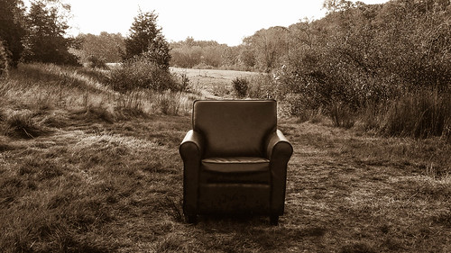 easton massachusetts unitedstates us field woods chair sepia