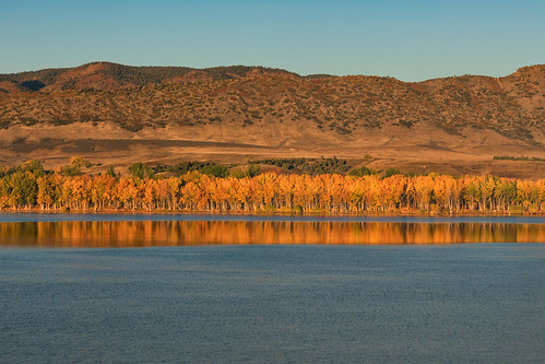 trees color fall autumn leaves reflections lake water mountain sky chatfieldstatepark colorado rowing crew scull boat landscape