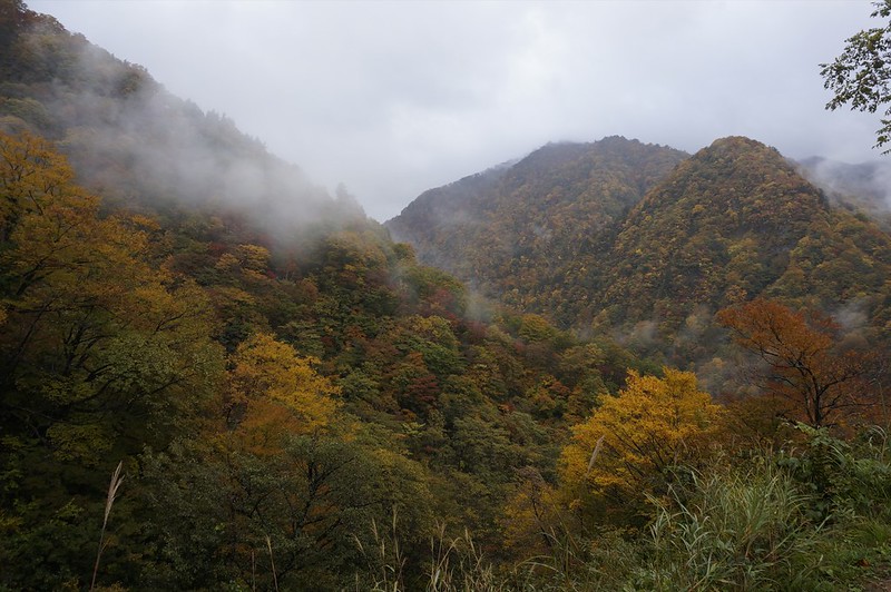 Autumn leaves at Mt. SARUGAJOUDOYAMA