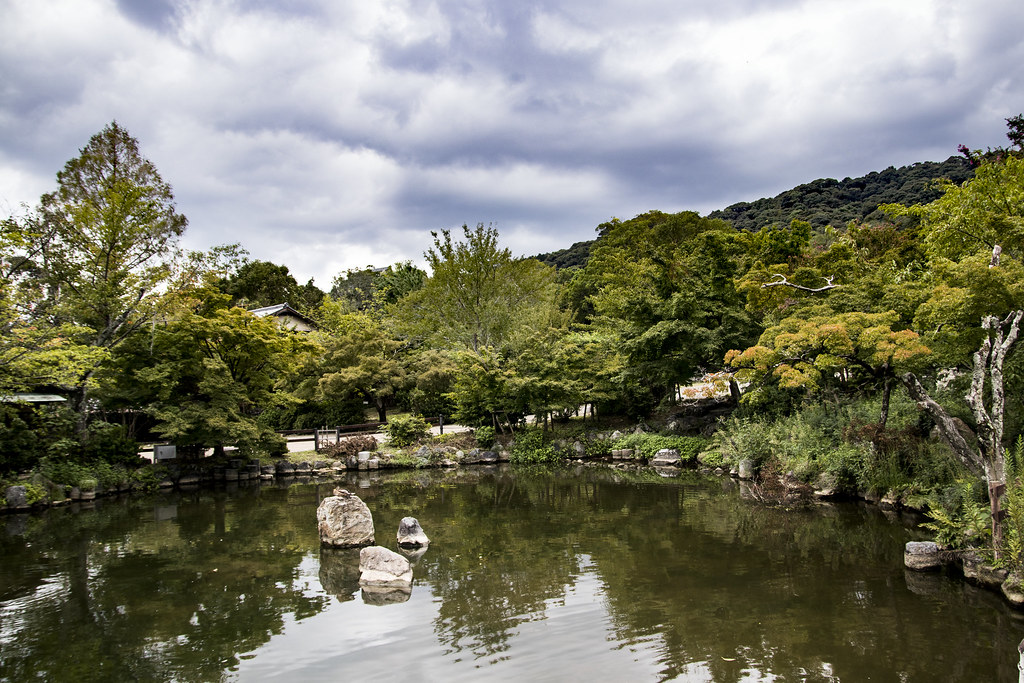 Pond Landscape in Yasaka Shrine